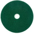 Americo GEC&#153; 17" Scrubbing Pad, Green, 5 Per Case 400317